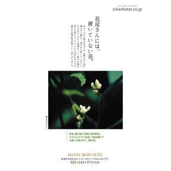 「花屋さんには、置いていない花」編